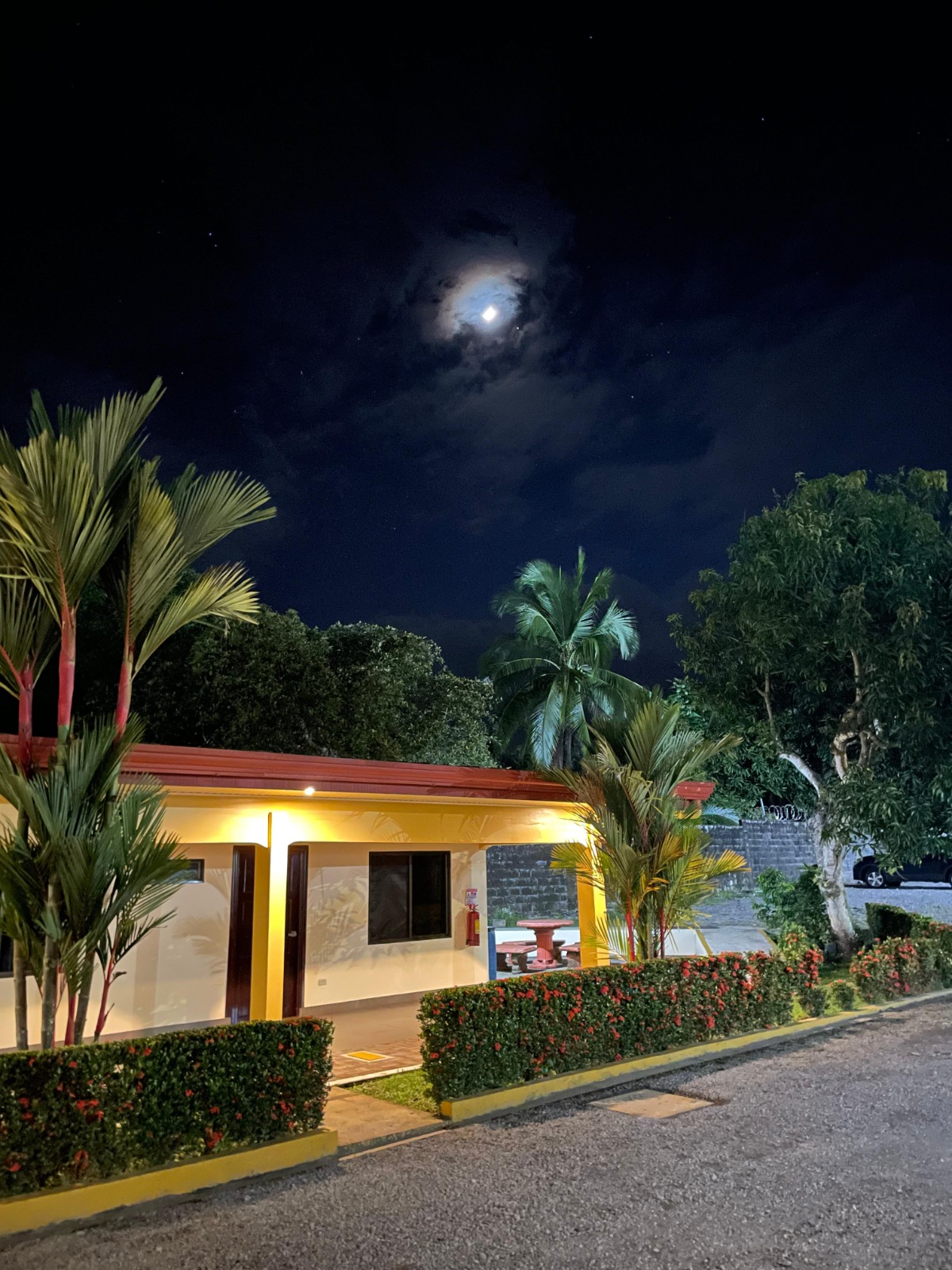 Palmeras y luna sobre una habitación iluminada del Hotel Oasis de noche